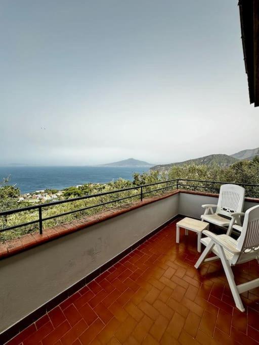 Belvedere -